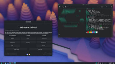 Linux vs. Windows 11 Performance Comparison: CachyOS Leads in Workstation Performance in Benchmarks