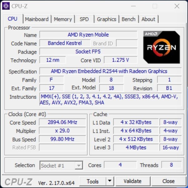 NiPoGi Pinova P1 Ryzen Embedded R2544 CPUz NiPoGi Pinova P1 Ryzen Embedded R2544 CPUz