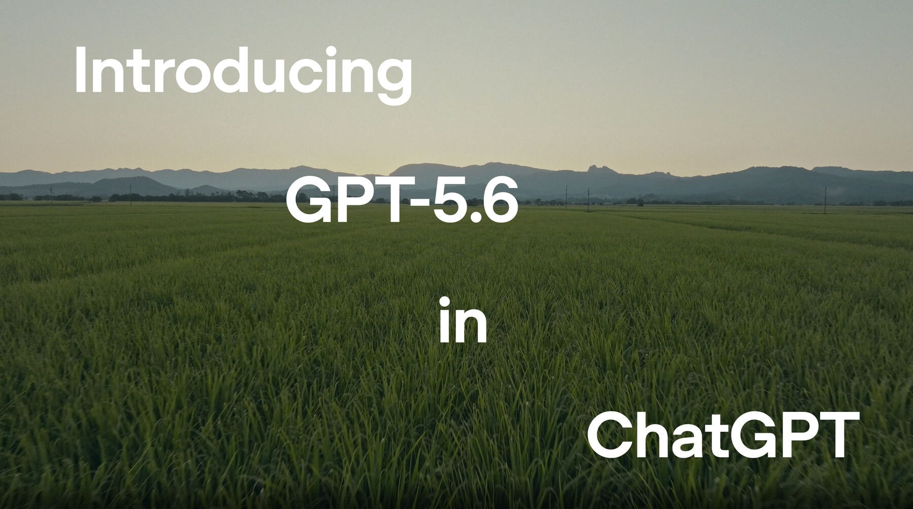 OpenAI GPT 5 6  Image © OpenAI