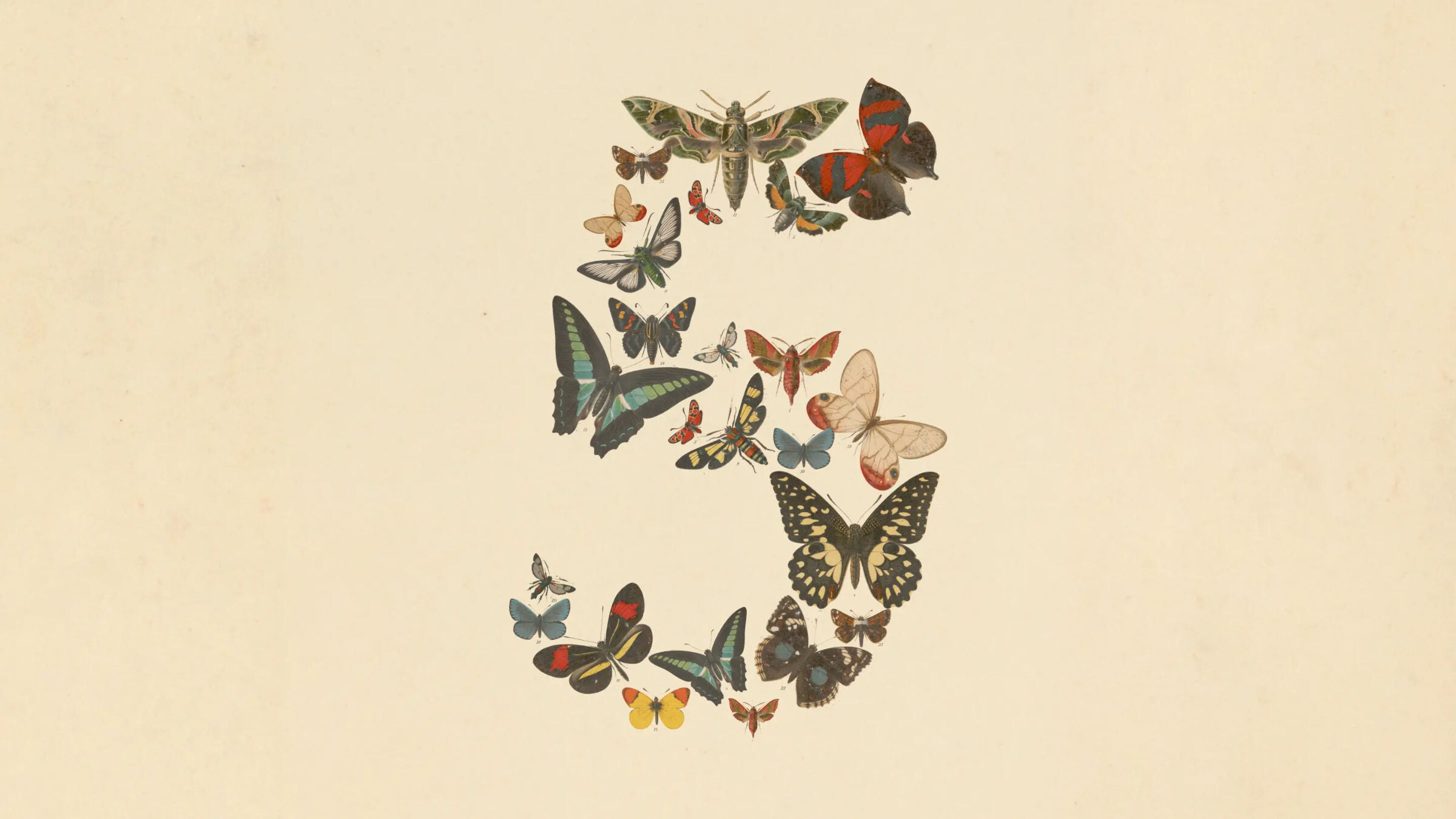 Claude Fable 5 und Mythos 5 Release  Image © Anthropic